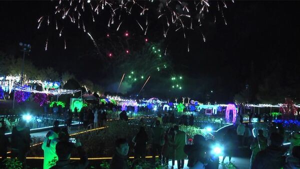 Зимний фестиваль света стартовал в Южной Корее - Sputnik Латвия