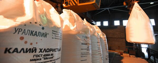 Krievijas minerālvielu ražotājs Uralkalij Krievijas minerālvielu ražotājs Uralkalij - Sputnik Latvija