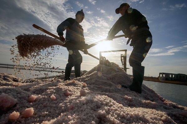 Добыча соли на озере Сасык-Сиваш в районе города Евпатория, Крым - Sputnik Латвия