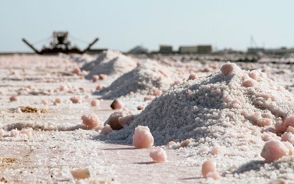 Добыча соли на озере Сасык-Сиваш в районе города Евпатория, Крым - Sputnik Latvija