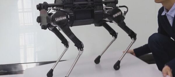 Китайские разработчики создали робособаку Laikago Китайские разработчики создали робособаку Laikago - Sputnik Латвия