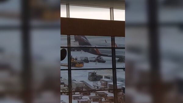 В аэропорту Шереметьево сотрудники радуются первому снегу - Sputnik Латвия