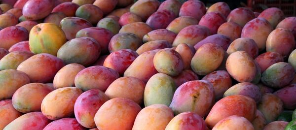 Манго Манго - Sputnik Latvija