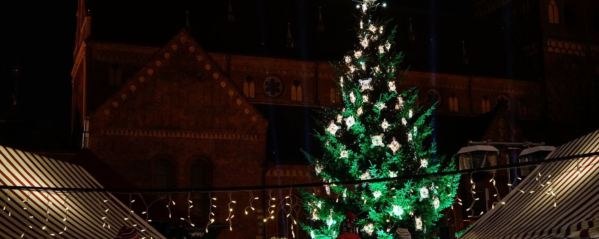 Рождественская ель на Домской площади - Sputnik Латвия, 1920, 28.11.2021