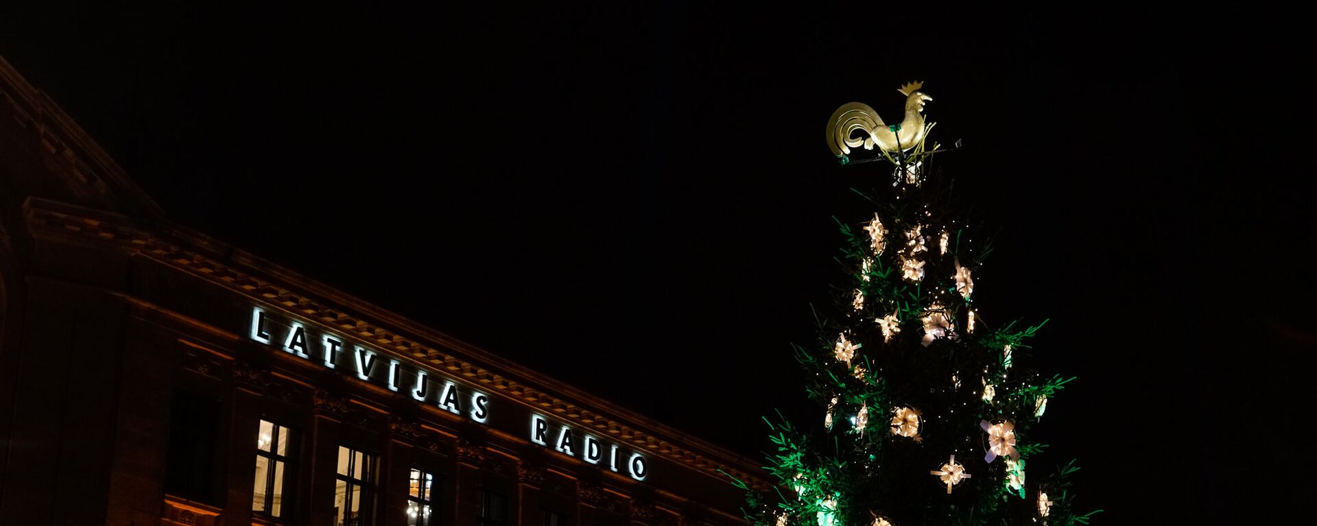 Рождественская ель на Домской площади - Sputnik Латвия, 1920, 16.01.2021