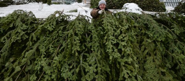 Елочный базар, архивное фото - Sputnik Латвия