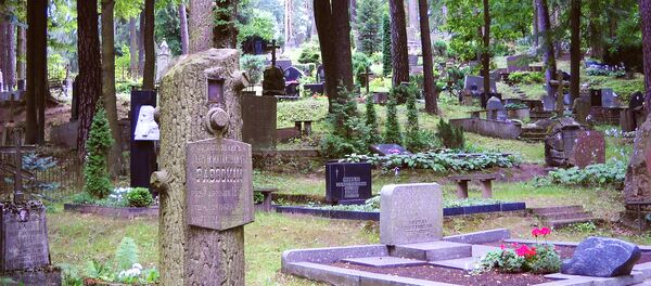 Našlaiču kapi Atakalnes rajonā - Sputnik Latvija