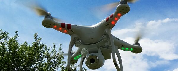 Дрон Дрон - Sputnik Latvija