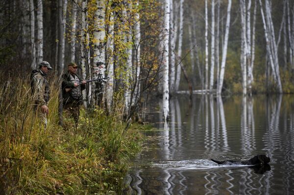 Охотники Охотники - Sputnik Латвия