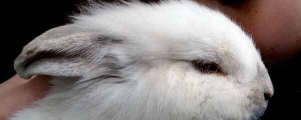 Зоопарк Садгород во Владивостоке Зоопарк Садгород во Владивостоке - Sputnik Latvija