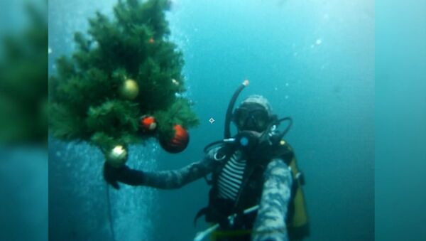 Дайверы погрузили новогоднюю елку под воду Голубого озера - Sputnik Латвия