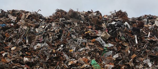 Мусор - Sputnik Латвия