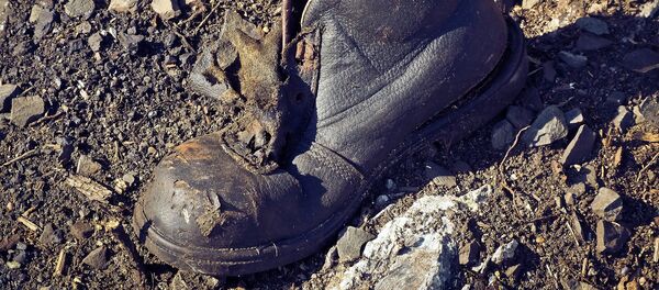 Zābaks Zābaks - Sputnik Latvija