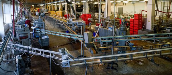 Рыбоперерабатывающий цех на предприятии Brīvais vilnis - Sputnik Латвия