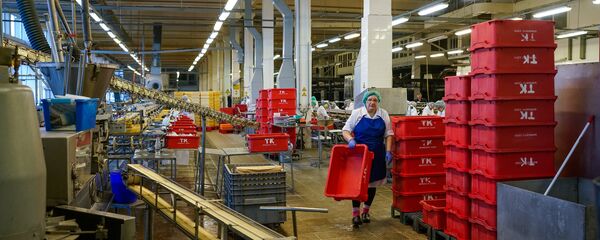 Рыбоперерабатывающий цех на предприятии Brīvais vilnis - Sputnik Латвия