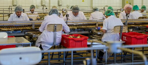 Рыбоперерабатывающий цех на предприятии Brīvais vilnis Рыбоперерабатывающий цех на предприятии Brīvais vilnis - Sputnik Latvija