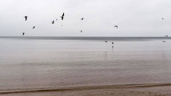 Пляж Юрмалы - Sputnik Latvija