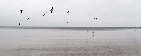 Пляж Юрмалы - Sputnik Латвия