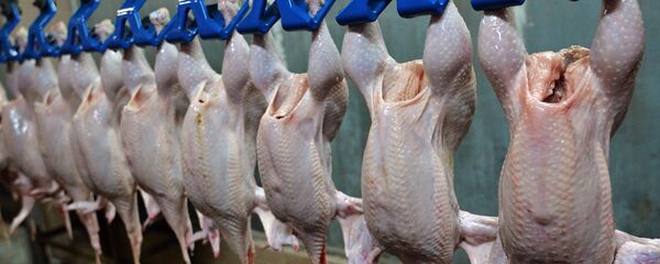 Птицеводческое предприятие Равис – птицефабрика Сосновская в Челябинской области Птицеводческое предприятие Равис – птицефабрика Сосновская в Челябинской области - Sputnik Латвия