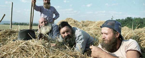 На заготоке сена - Sputnik Латвия