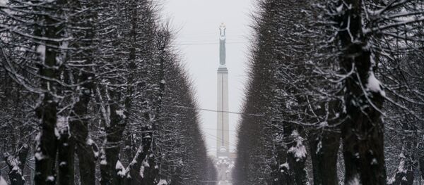 Вид на Памятник Свободы - Sputnik Latvija