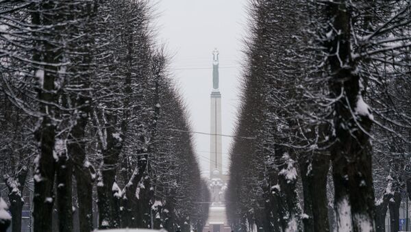Вид на Памятник Свободы - Sputnik Латвия