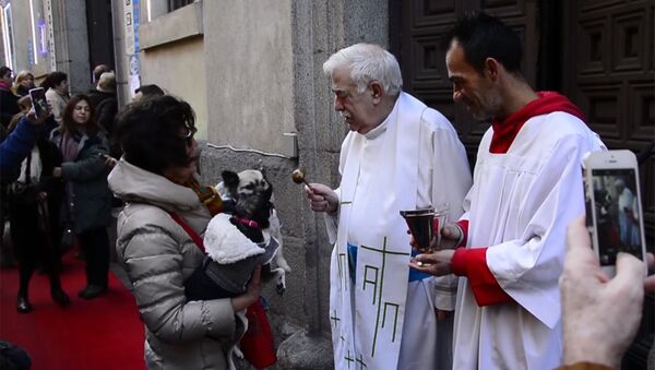 Mise astainajiem: Madridē priesteri deva Dieva svētību dzīvniekiem - Sputnik Latvija