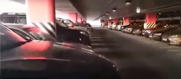 Случай на платной парковке возле аэропорта в Вильнюсе Случай на платной парковке возле аэропорта в Вильнюсе - Sputnik Latvija