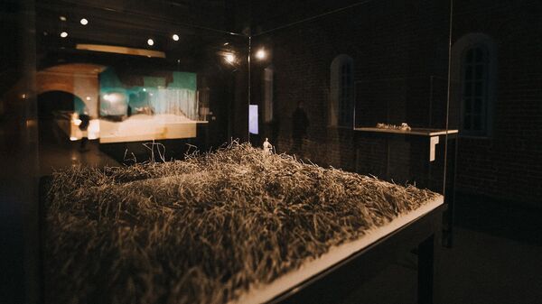 Декорация к видеоработе Лиены Мацкус - Sputnik Латвия