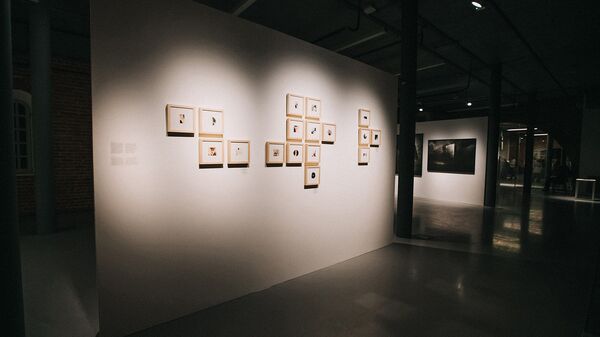 Работы Дианы Тамане - Sputnik Латвия