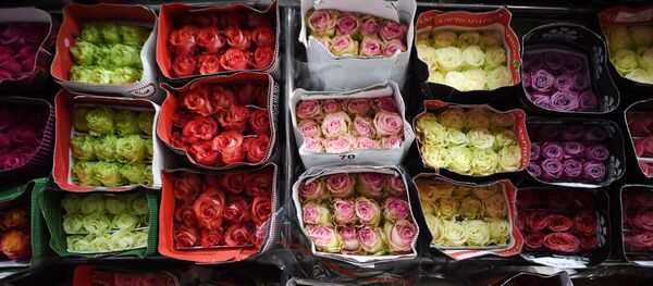 Продажа цветов накануне 8 марта Продажа цветов накануне 8 марта - Sputnik Latvija