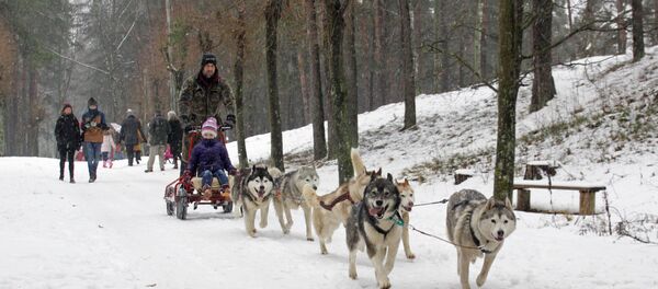 Латышская Масленица в Этнографическом музее - Sputnik Латвия