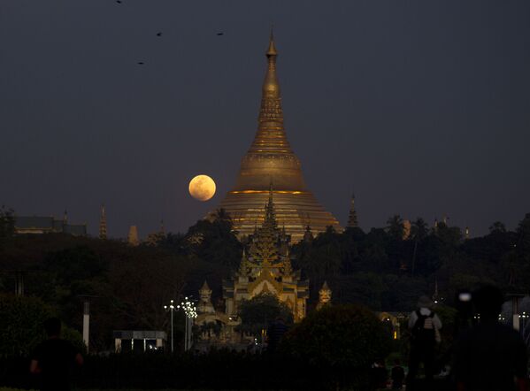 Pilnmēness Jangonā (Mjanma) - Sputnik Latvija