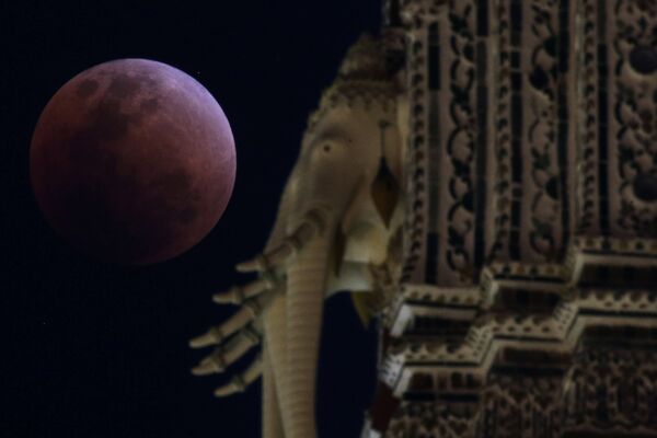 Asiņainais Mēness Bangkokā - Sputnik Latvija