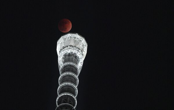 Pilnēness torņa Sky Tree fonā Tokijā - Sputnik Latvija