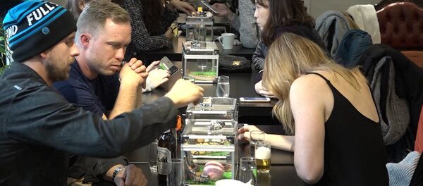 Кафе со змеями - Sputnik Латвия