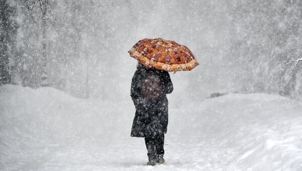 Женщина с зонтом во время снегопада - Sputnik Latvija