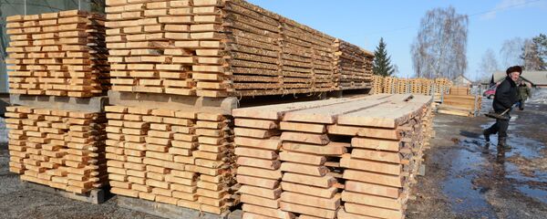 Заготовка леса в Новосибирской области - Sputnik Латвия