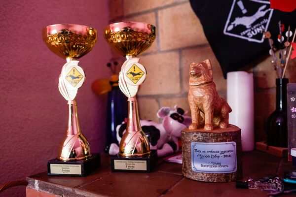 Призы за победу в гонках на собачьих упряжках - Sputnik Латвия