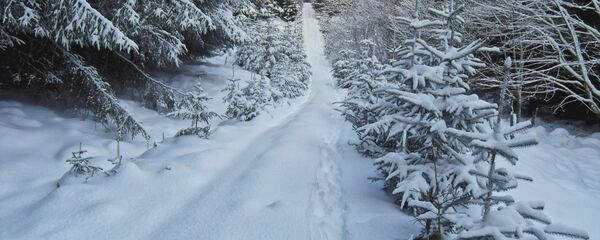 Следы на снегу, архивное фото - Sputnik Латвия