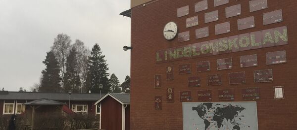 Plakāti ar uzrakstu Laipni lūdzam 18 dažādās valodās. Skola Hultsfredā. Foto no arhīva Plakāti ar uzrakstu Laipni lūdzam 18 dažādās valodās. Skola Hultsfredā. Foto no arhīva - Sputnik Latvija