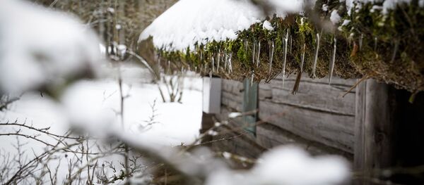 Latvijas Brīvdabas muzejs. Foto no arhīva Latvijas Brīvdabas muzejs. Foto no arhīva - Sputnik Latvija