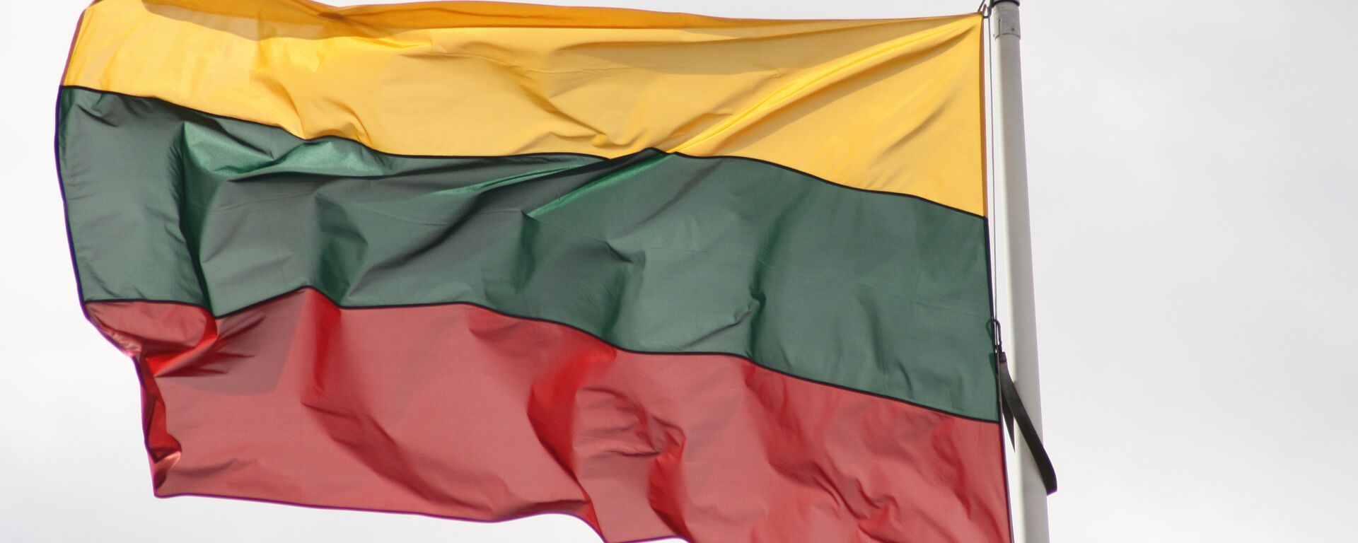 Флаг Литвы - Sputnik Латвия, 1920, 27.11.2025