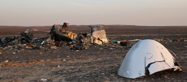 Поисковые работы на месте крушения российского самолета Airbus A321 в Египте - Sputnik Латвия