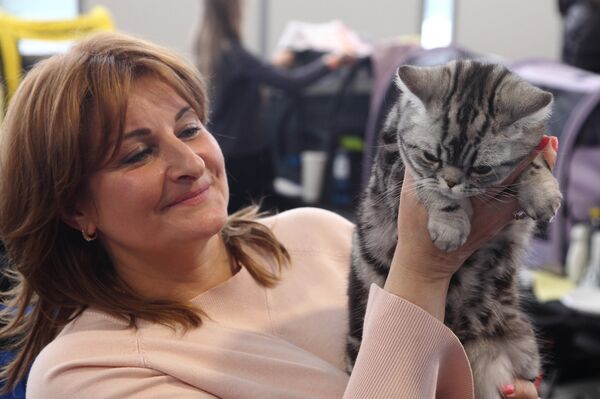 Татьяна и ее любимый мраморный британец - Sputnik Латвия