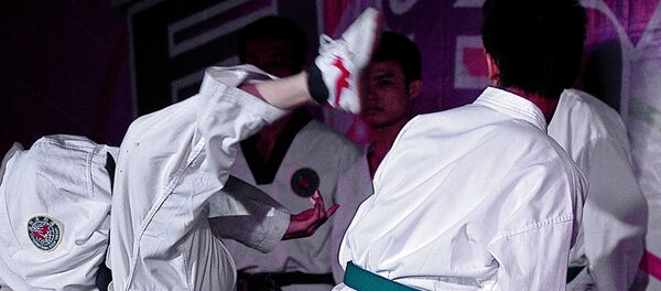 Карате - Sputnik Латвия