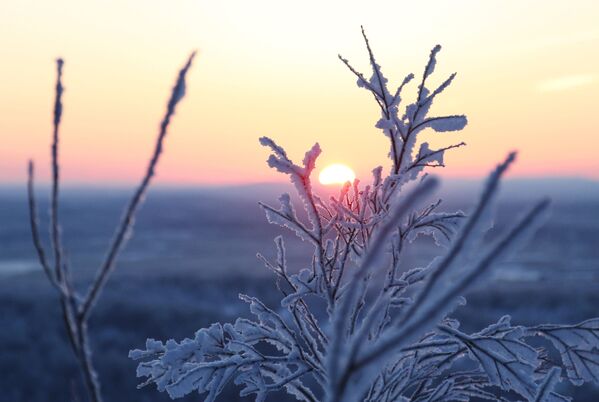 Рассвет, наблюдаемый с Солнечной горки в Мурманске - Sputnik Латвия