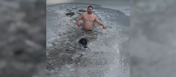 Канадец спас провалившуюся под лед собаку - Sputnik Латвия