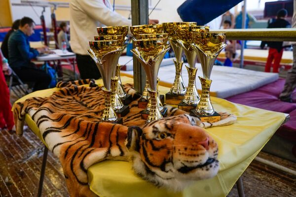 Международный турнир по спортивной гимнастике Кубок тигренка 2018 - Sputnik Латвия