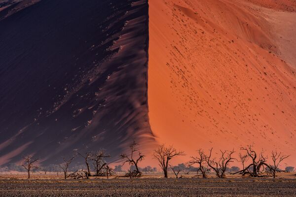 Снимок The Great wall of Namib тайского фотографа Paranyu Pithayarungsarit из категории Landscape & Nature (Open), вошедший в шортлист фотоконкурса 2018 Sony World Photography Awards - Sputnik Латвия